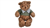 Brown Teddy Bear with Sweater